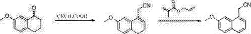 Reaction scheme showing the conversion of 7-methoxy-1-tetralone to the nitrile intermediate via cyanoacetic acid condensation and subsequent DDQ dehydrogenation