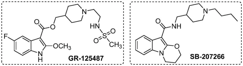 Chemical structures of bioactive 2-alkoxyindole drugs GR-125487 and SB-207266