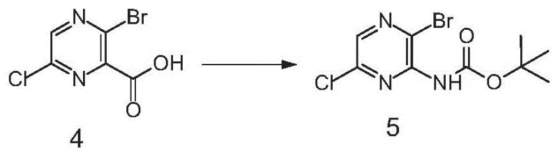 Step 4 Curtius rearrangement reaction converting the carboxylic acid to the protected amine
