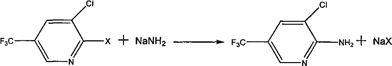 General reaction scheme showing nucleophilic substitution of 2-halo-3-chloro-5-trifluoromethyl pyridine with sodium amide