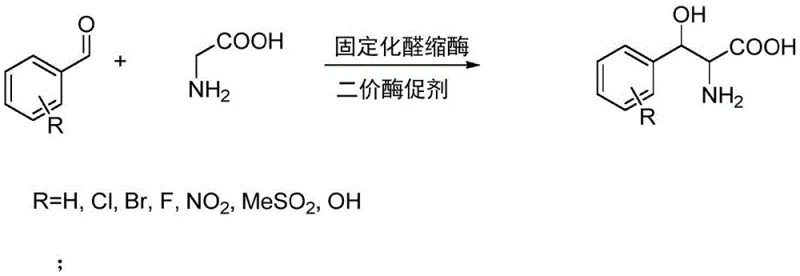 Reaction scheme showing immobilized aldolase catalyzed condensation of substituted benzaldehyde and glycine