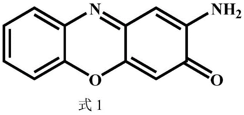 Chemical structure of the core product 2-amino-3H-phenoxazin-3-one