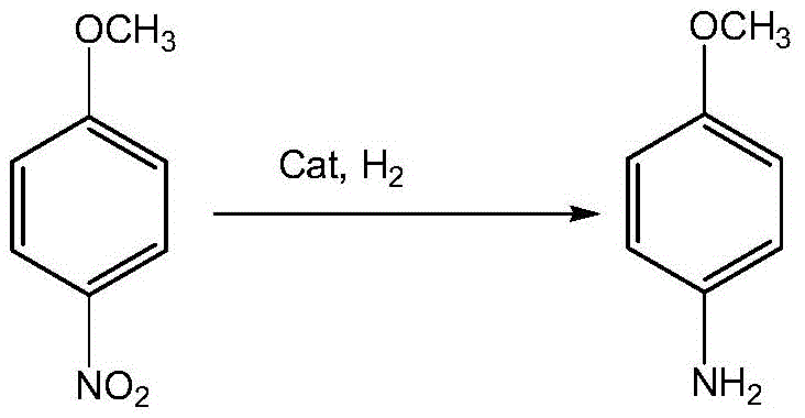 Primary catalytic hydrogenation of p-nitroanisole to p-anisidine