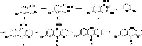Complete synthetic route showing MEM protection, Suzuki coupling, oxidation, and rearrangement steps