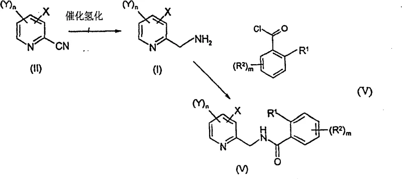 Overall reaction scheme showing the synthesis pathway from halopyridine to aminomethyl pyridine derivatives