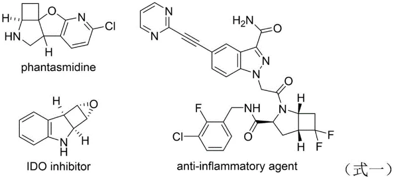 Structural diversity of bioactive 2-azabicyclo[3.2.0] compounds including phantasmidine and IDO inhibitors