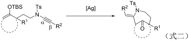Prior art silver-catalyzed cyclization of alkynamine substrates reported by Miesch et al.