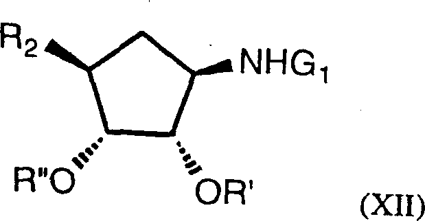 Structure of final carbocyclic sugar derivatives derived from the lactam intermediate