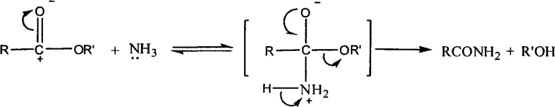 Mechanism of nucleophilic attack of ammonia on ester carbonyl