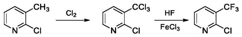 Reaction scheme showing the conversion of 2-chloro-3-methylpyridine to 2-chloro-3-trifluoromethylpyridine via chlorination and fluorination
