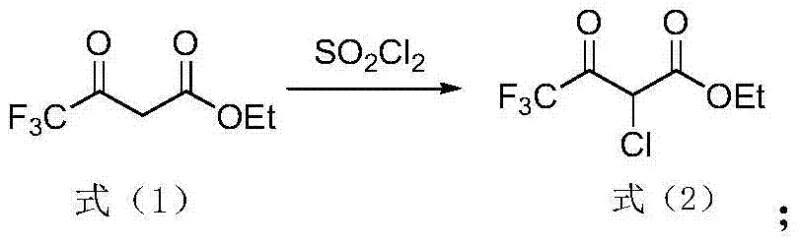 Reaction scheme showing the solvent-free chlorination of trifluoroacetyl ethyl acetate using sulfuryl chloride to form the chlorinated intermediate