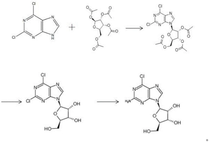Reaction scheme showing the DMAP-catalyzed condensation of 2,6-dichloropurine and tetraacetyl ribose followed by hydrolysis and ammoniation to form 2-chloroadenosine