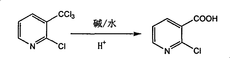 Chemical reaction scheme showing the alkaline hydrolysis of 2-chloro-3-trichloromethylpyridine to 2-chloronicotinic acid