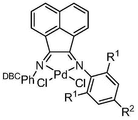 Structure of the specialized Pd complex catalyst with DBCPh ligand