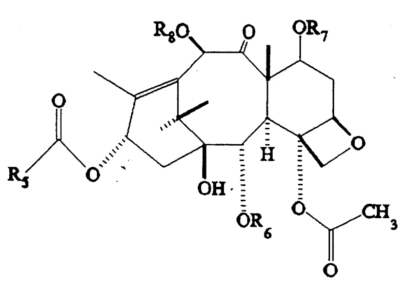 Reaction scheme illustrating LiOH hydrolysis and acylation steps for C-2 modification