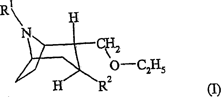 General chemical structure of 2-(ethoxymethyl)-tropane derivatives (Formula I) showing the tropane backbone with ethoxymethyl substitution at the 2-position