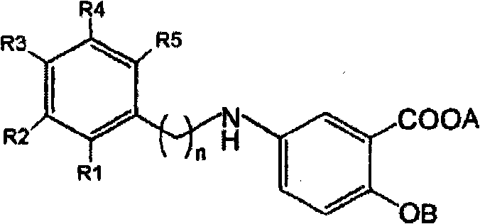 General structure of 2-hydroxy-5-phenylalkylaminobenzoic acid derivatives representing the target therapeutic scaffold