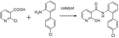 Novel direct catalytic condensation route for 2-hydroxy-N-(4'-chlorobiphenyl-2-yl)nicotinamide
