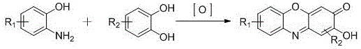 General reaction scheme for the synthesis of 2-hydroxyphenoxazin-3-one compounds via aqueous oxidation