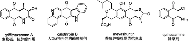 Biologically active natural products containing 2-amino-3-substituted naphthoquinone skeletons such as griffithazanone A and calothrixin B