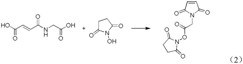 Reaction mechanism converting AMAS-1 intermediate to the final 2-maleimidoacetic acid N-hydroxysuccinimide ester using HOSU and EDCI