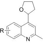 Chemical structure of 2-methyl-4-(tetrahydrofuran-2-yl) quinoline derivatives with variable R groups