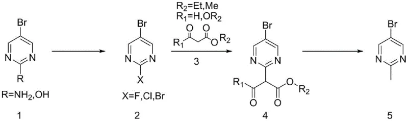 General synthetic route for 2-methyl-5-bromopyrimidine via halogenation and ester substitution