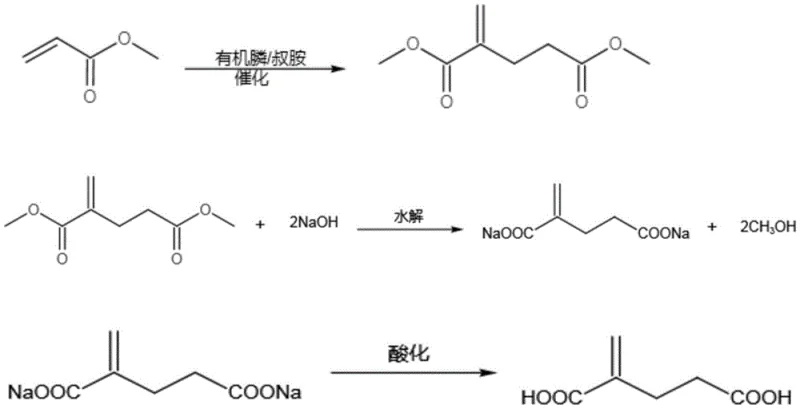 Reaction scheme showing the synthesis of 2-methylene glutaric acid diester from methyl acrylate using a composite catalyst, followed by hydrolysis to the final acid.