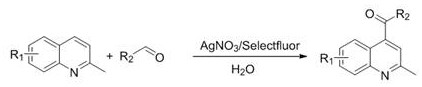 General reaction scheme showing silver-catalyzed acylation of 2-methylquinoline with aldehydes using Selectfluor in water