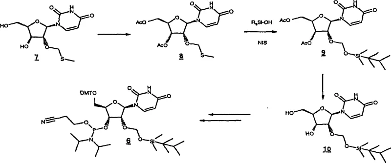 Synthetic route 7 to 8 to 9 to 10 to 6 showing the novel thiomethyl activation pathway