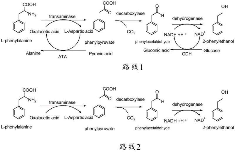 Comparison of conventional transaminase route (Route 1) generating byproducts vs. the novel direct deamination route