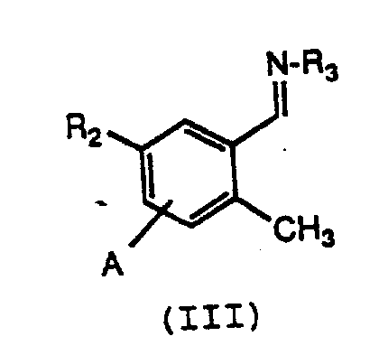 Structure of the key imine intermediate (Formula III) prior to lithiation