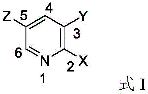 Chemical structure of Formula I representing the 2,3-dihalopyridine substrate with variable substituents X, Y, and Z