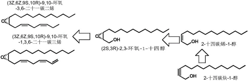 Retrosynthetic analysis showing 2-tetradecyn-1-ol as the key intermediate for American White Moth sex pheromones