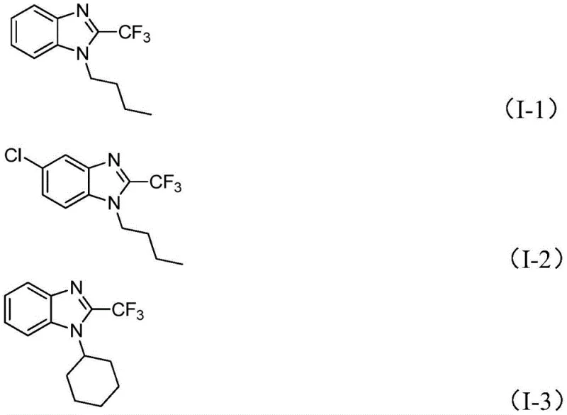 Structural diversity of synthesized benzimidazole derivatives including alkyl and halo-substituted variants