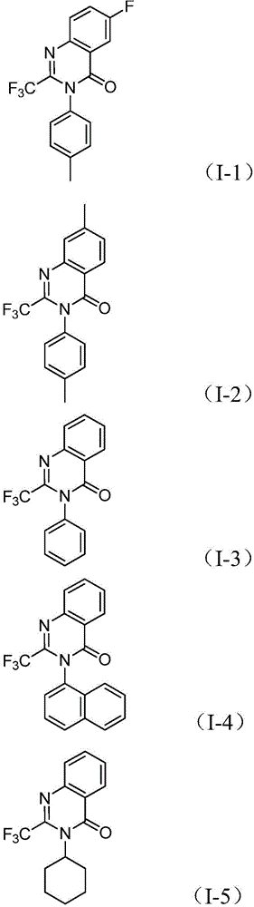 Structural formulas of five specific 2-trifluoromethyl quinazolinone compounds (I-1 to I-5) demonstrating substrate diversity including fluorinated, methylated, and naphthyl-substituted variants