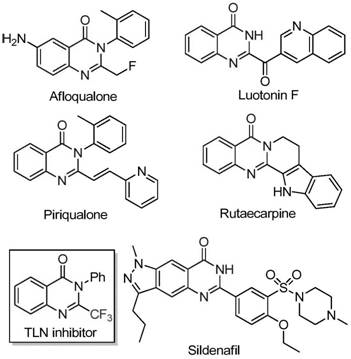 Structural diversity of bioactive quinazolinone compounds including Afloqualone and Sildenafil