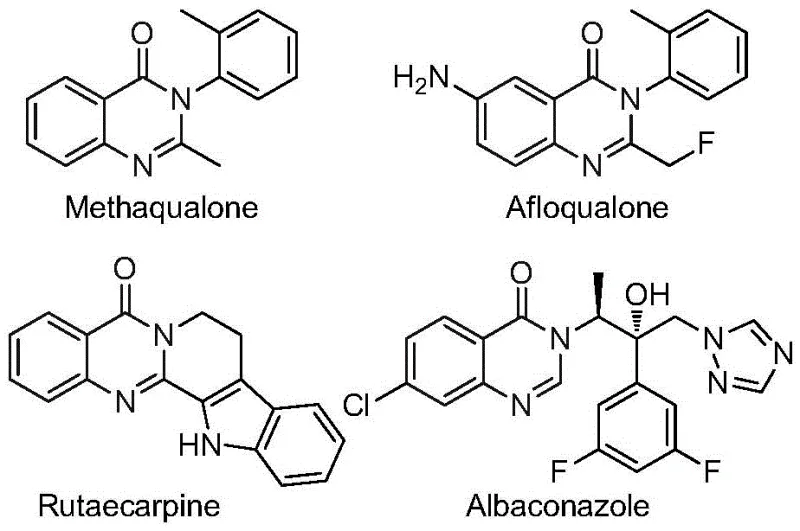 Chemical structures of bioactive quinazolinone drugs like Methaqualone and Afloqualone demonstrating the therapeutic relevance of the scaffold