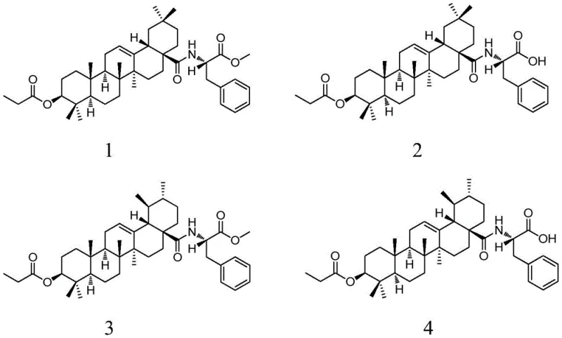 Chemical structures of 28-(L-Phenylalanine)-oleanolic and ursolic acid derivatives 1-4