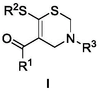 General structural formula of 3,4-dihydro-2H-1,3-thiazine derivatives showing variable R groups