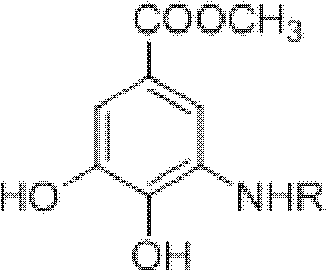 General structural formula of 3,4-dihydroxy-5-alkylamino methyl benzoate compounds showing the variable R group for diverse amine substrates