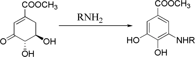 Reaction scheme showing the conversion of 3-dehydroshikimic acid methyl ester to aromatic amine via acid catalysis
