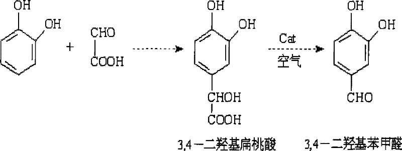 Reaction scheme showing the condensation of catechol and glyoxylic acid to 3,4-dihydroxymandelic acid followed by air-catalytic oxidation to 3,4-Dihydroxybenzaldehyde