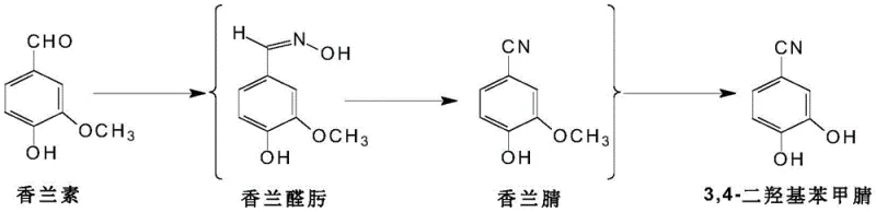 Complete synthetic route from Vanillin to 3,4-Dihydroxybenzonitrile showing oximation and demethylation steps