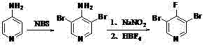 Reaction scheme showing the two-step synthesis of 3,5-dibromo-4-fluoropyridine from 4-aminopyridine via NBS bromination and diazotization fluorination