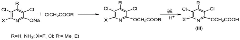 Conventional synthesis via sodium salt and chloroacetate ester showing hydrolysis steps