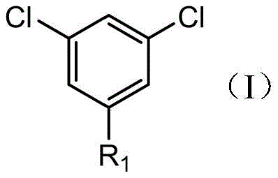 General structure of Compound I showing 3,5-dichloro substitution pattern