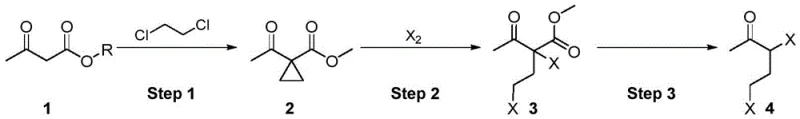Synthetic route of 3,5-dihalogen-2-pentanone from acetoacetate via cyclopropanation and ring-opening