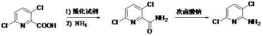 Novel synthesis route via acylation and Hofmann degradation starting from 3,6-dichloro-2-pyridinecarboxylic acid