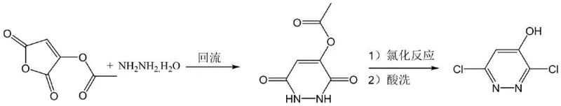 Reaction scheme showing the two-step synthesis of 3,6-dichloropyridazin-4-ol from 3-acetoxyl-2,5-furandione via hydrazine cyclization and catalytic chlorination